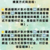 114年3月出生：《立耳英國短毛公貓》 (藍)
